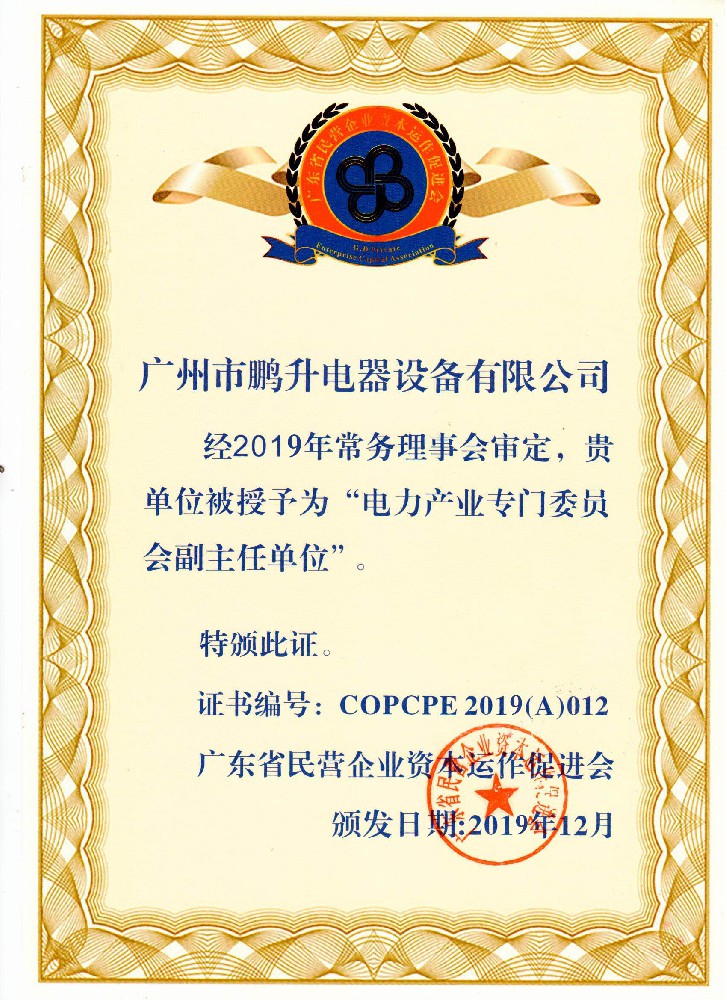 电力产业专门委员会副主任单位.jpg